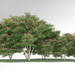 تصویر PNG رندر سه بعدی جنگل و درختان در فصل بهار