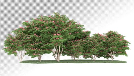 تصویر PNG رندر سه بعدی جنگل و درختان در فصل بهار