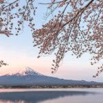 تصویر پس زمینه کوه فوجی در فصل بهار