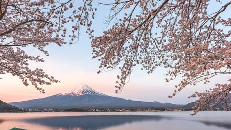 تصویر پس زمینه کوه فوجی در فصل بهار