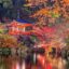 تصویر پس زمینه فصل پاییز در کیوتو ژاپن