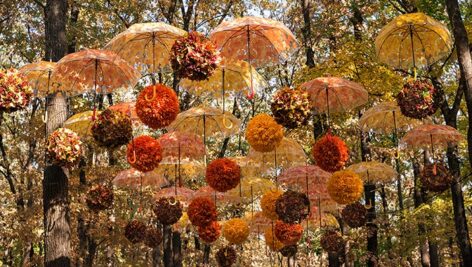 تصویر پس زمینه مجموعه چتر آویز در پارک و فصل پاییز