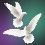 تصویر PNG کبوتر سفید در حال پرواز
