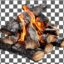 تصویر PNG چوب در حال سوختن در آتش