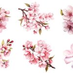 وکتور مجموعه شکوفه درخت و فصل بهار