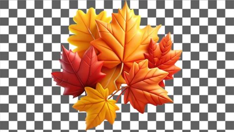 تصویر PNG مجموعه برگ پاییزی با طراحی سه بعدی