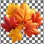 تصویر PNG مجموعه برگ پاییزی با طراحی سه بعدی