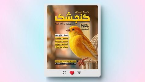 فایل لایه باز بنر پرنده فروشی و پرنده سرا طرح پست اینستاگرام