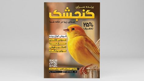 فایل لایه باز تراکت پرنده فروشی و پرنده سرا