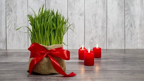تصویر پس زمینه سبزه عید و شمع