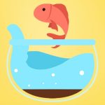 تصویر PNG تنگ ماهی عید و نوروز