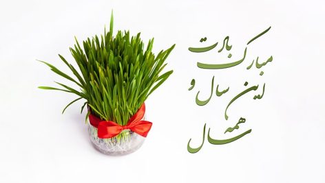 تصویر نمای بالا زمینه سفید سبزه عید و نوروز