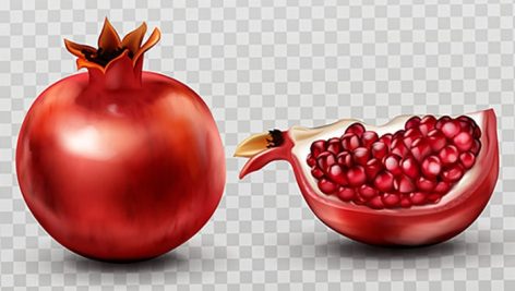 وکتور واقع گرایانه انار و دانه های انار