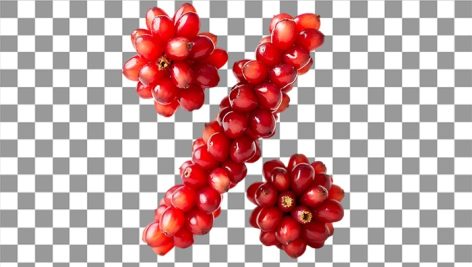 تصویر PNG درصد طرح دانه انار شب یلدا