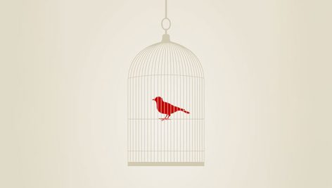 وکتور پرنده در قفس