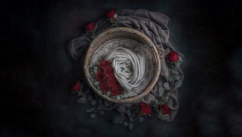 تصویر طرح بک دراپ سبد عکاسی نوزاد