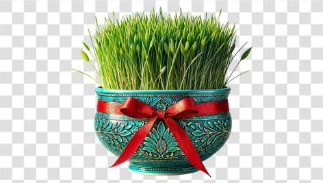 تصویر PNG سبزه نوروز و ظرف سنتی