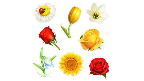 وکتور مجموعه گل