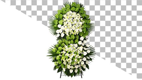 فایل PNG دوربری شده تاج گل آنتوریوم مخصوص بنر ترحیم