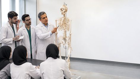 دانلود تصویر آموزشی آناتومی انسان در کلاس درس پزشکی با اسکلت