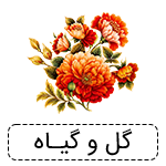 صفحه اصلی بدون سایدبار 20 گل و گیاه