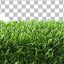 دانلود فایل PNG چمن دوربری شده و بدون بک‌ گراند | عکس استوک چمن برای فتوشاپ و معماری