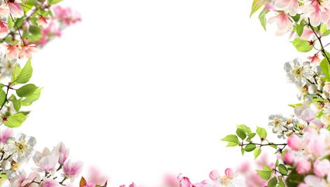 دانلود فریم گل های بهاری JPG | حاشیه گل شکوفه با فضای خالی مرکزی 2 دانلود فریم گل های بهاری JPG | حاشیه گل شکوفه با پس زمینه سفید