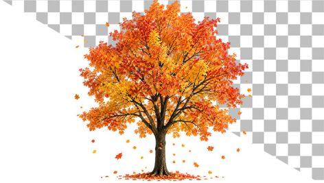 دانلود عکس PNG درخت پاییزی | برگ ریزان، دوربری شده، کیفیت بالا