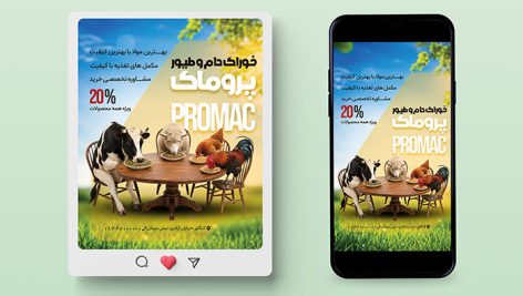 طرح لایه باز بنر اینستاگرام خوراک دام و طیور | فایل فتوشاپ PSD مکمل های غذایی دامی 11 طرح لایه باز بنر خوراک دام و طیور PSD | پوستر تبلیغاتی کنسانتره و مکمل دامی اینستاگرام